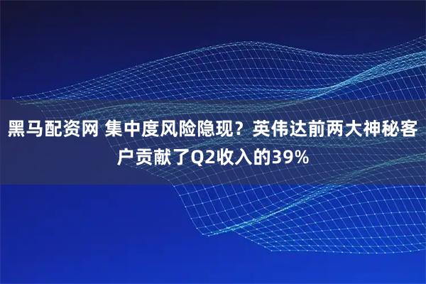 黑马配资网 集中度风险隐现？英伟达前两大神秘客户贡献了Q2收入的39%